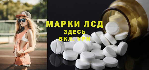 хмурый Арсеньев