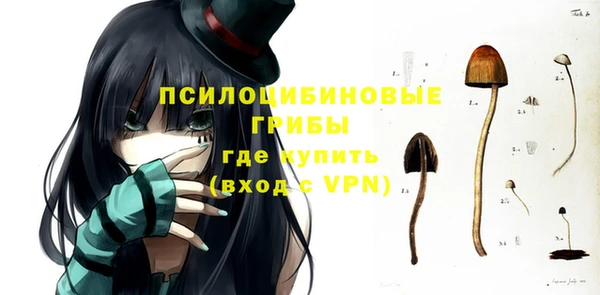 стафф Армянск