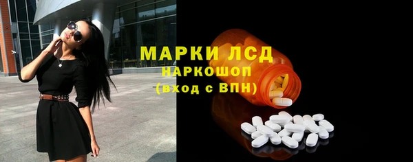 хмурый Арсеньев