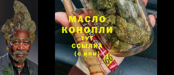 хмурый Арсеньев