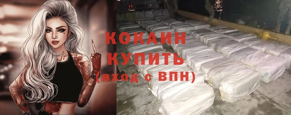 хмурый Арсеньев