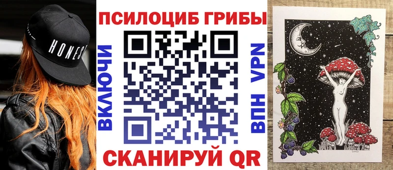 Галлюциногенные грибы мухоморы  дарк нет Telegram  Заозёрный 